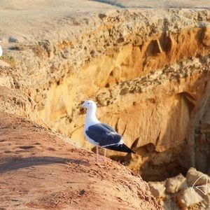 Meet your Posher, Angel